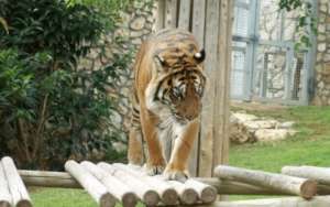 Photo credit: Shai Ben Ami