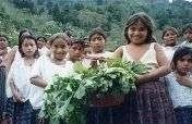 Strengthening Indigenous Communities in Guatemala