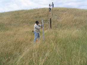 Installing fencing for bison herd on Pine Ridge