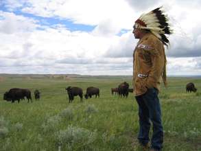 Provide Bison Meat to Lakota Elders on Pine Ridge