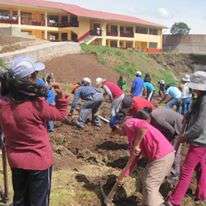 Parents came, planted corn, potatoes,lima beans...