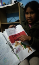 Semester workbook: Science & Environment