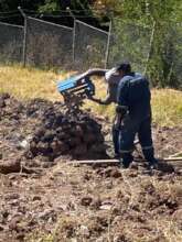 rural culture for cooking potatoes Plus
