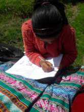 Study under the warm sun