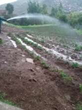 Protecting garden growth for school meals in March