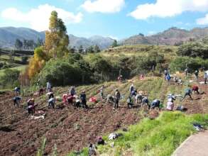 Parents have transformed the school kitchen garden