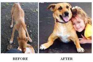 Elena is one of our many lucky dogs!