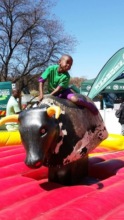 Raiding a Bull
