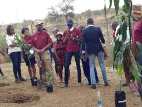 Bank of Namibia planting trees at Mammadu