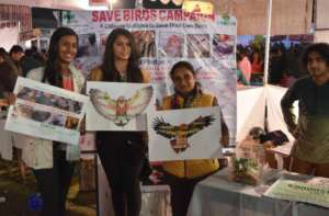 Campaign