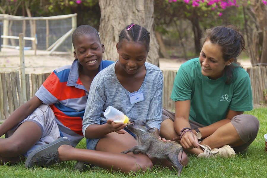 Provide food & care for our baby Warthog for 1year