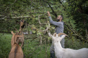 (c) Secours Catholique.