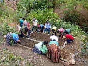 Agronomic technologies workshop