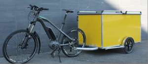 Electric bike with wagon