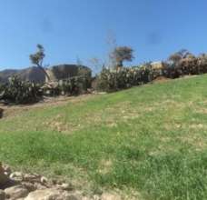 Construction of a water tank for the irrigation of