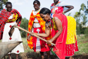 Indigenous women preparing to plant seedlings.