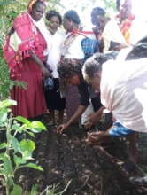 Women plant tree nursery to protect water sources