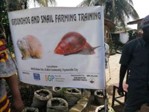 Training of Trainers For Agro Business