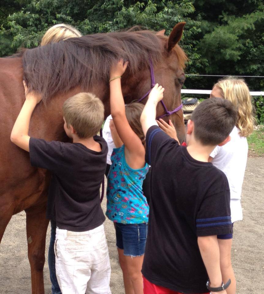 Help Bring Equine Therapy To 30 Children in 2015!