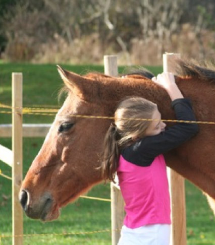 Help Bring Equine Therapy To 30 Children in 2015!