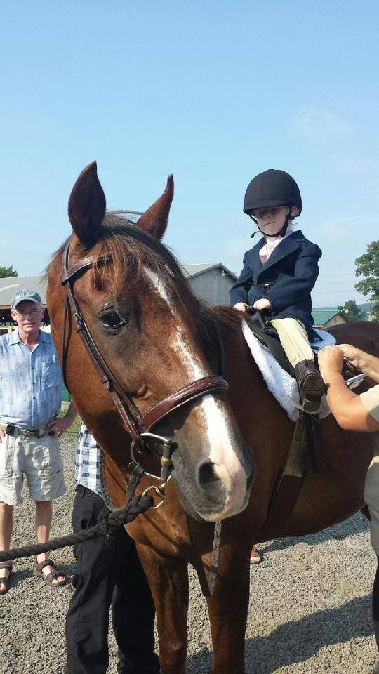 Help Bring Equine Therapy To 30 Children in 2015!