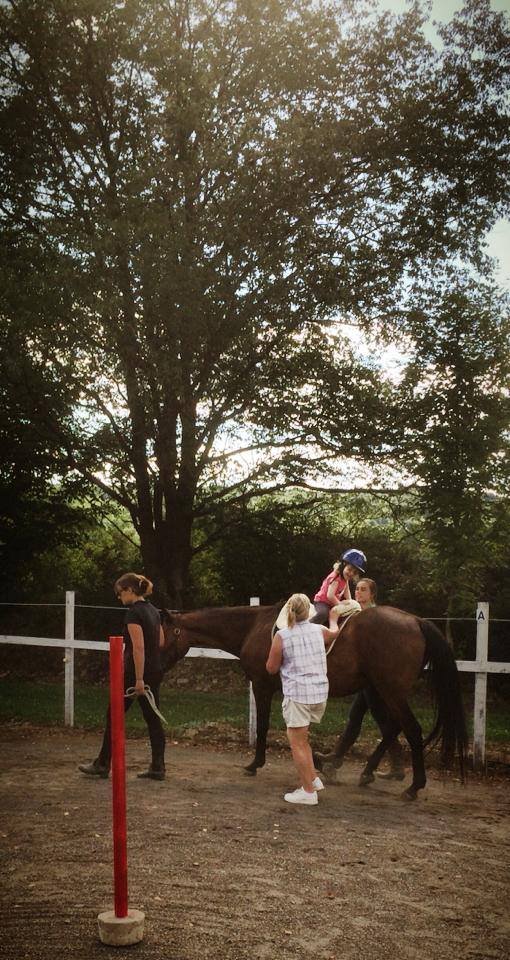 Help Bring Equine Therapy To 30 Children in 2015!