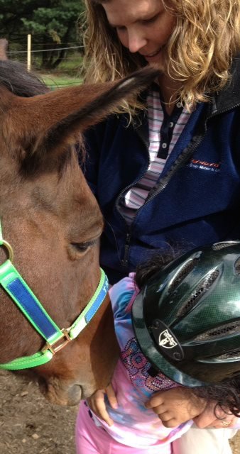 Help Bring Equine Therapy To 30 Children in 2015!