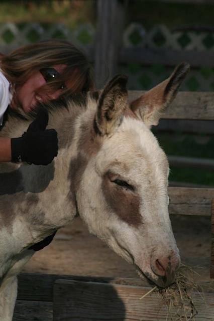 Help Bring Equine Therapy To 30 Children in 2015!