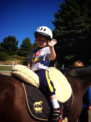 Help Bring Equine Therapy To 30 Children in 2015!