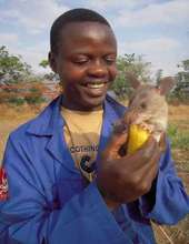 A well earned banana!