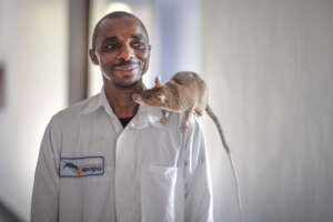 Tuberculosis handler with HeroRAT