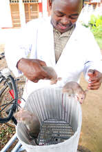 HeroRAT socialization