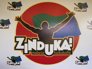Zinduka! Campaign Poster