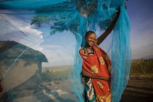 Bed Nets for Malaria Prevention in Tanzania