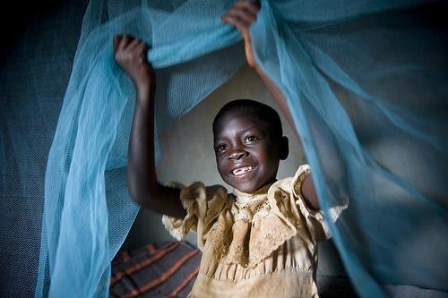 Bed Nets for Malaria Prevention in Tanzania