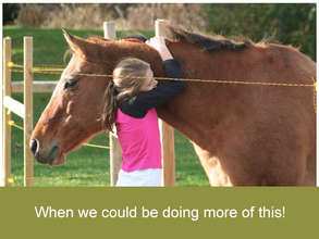 Horses teach us to care!