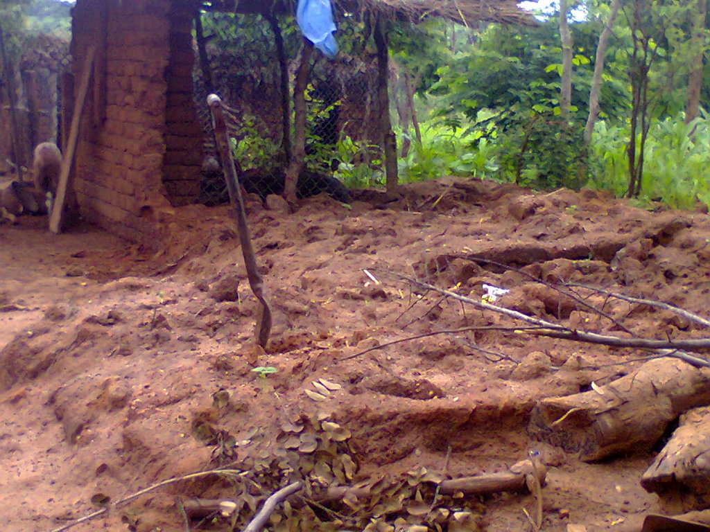 emergency help to victims of heavy rains
