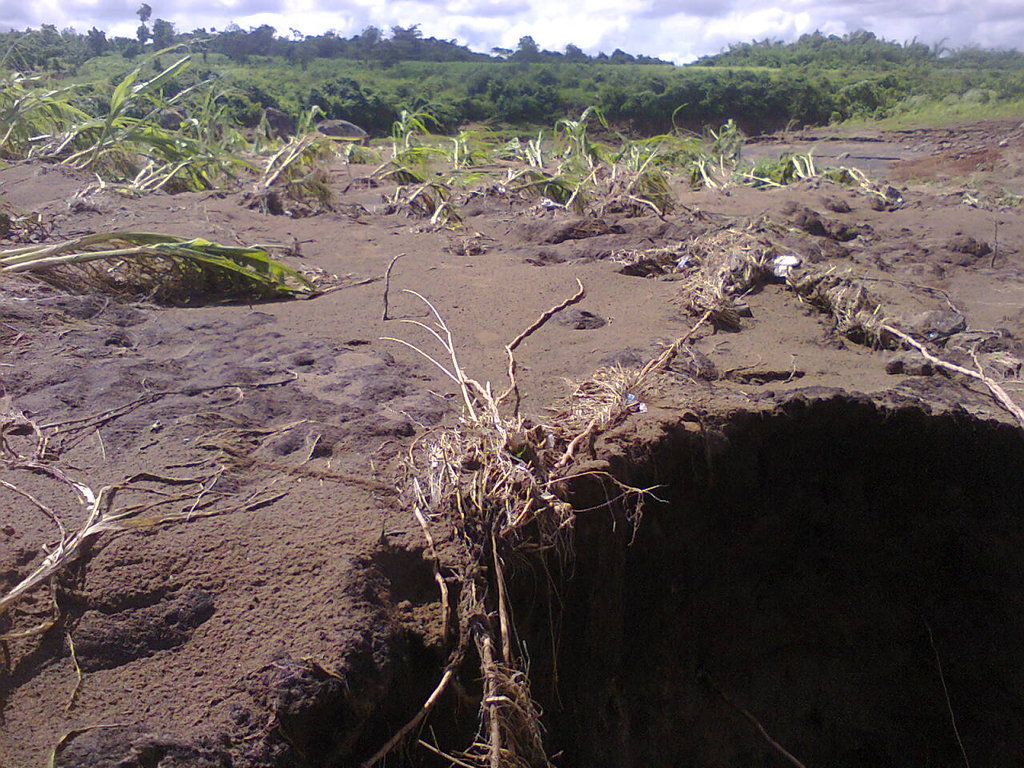 emergency help to victims of heavy rains