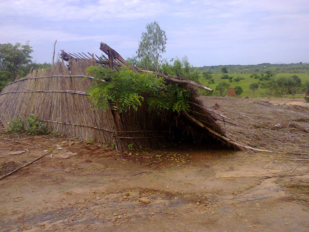 emergency help to victims of heavy rains