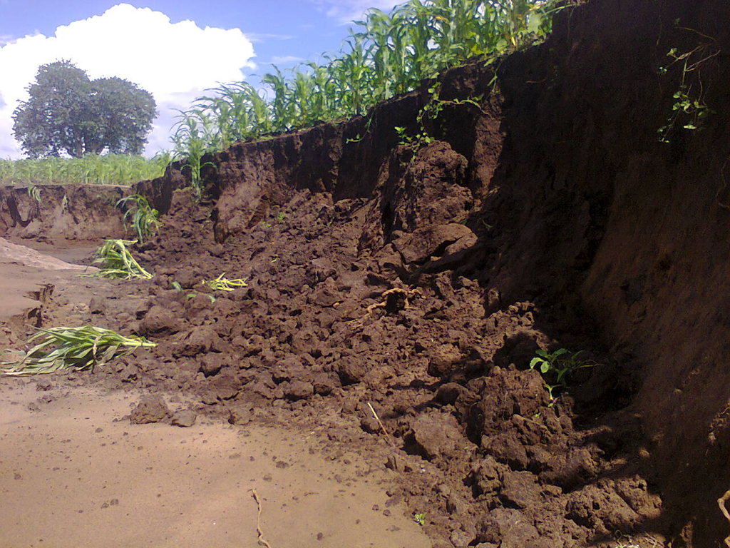 emergency help to victims of heavy rains