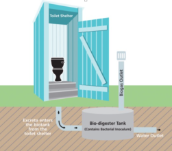 Toilet model