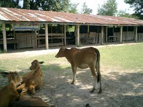 Rural Schools