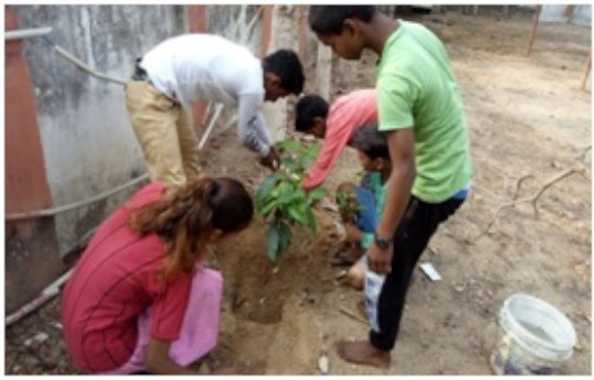 Plantation on Environment Day