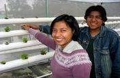 Youth Venture Mexico (Avancemos)
