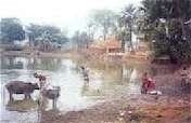 Safe Water & Latrines for Bangladesh Village