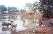 Safe Water & Latrines for Bangladesh Village