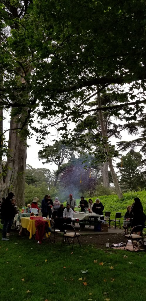 In San Franscisco's Golden Gate Park!