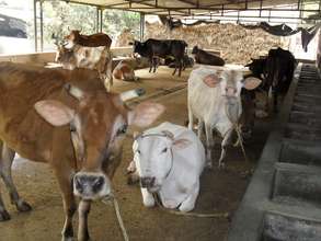 BARNAMALA