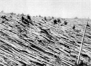 Tunguska, Russia, 1908
