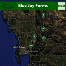 Blue Jay Farms locations